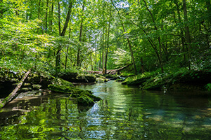 espacios naturales que visitar en Galicia