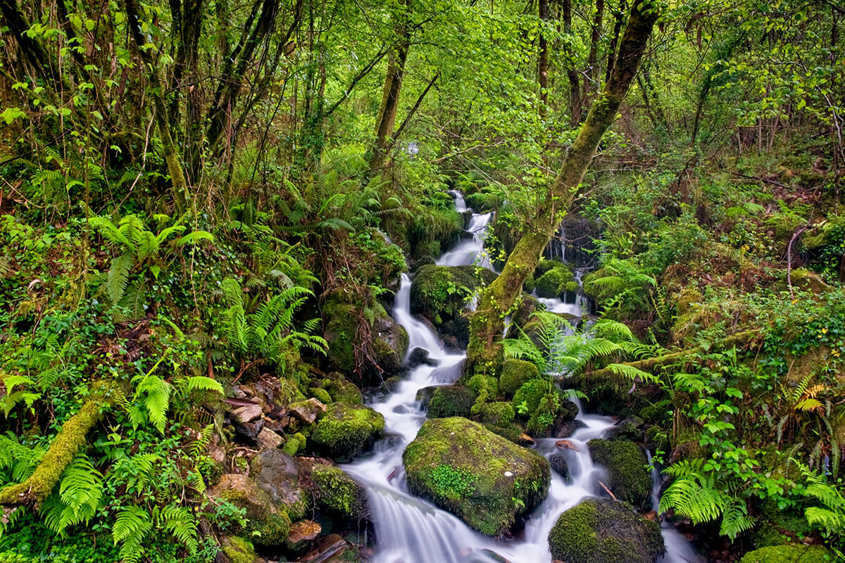 parques naturales de Galicia