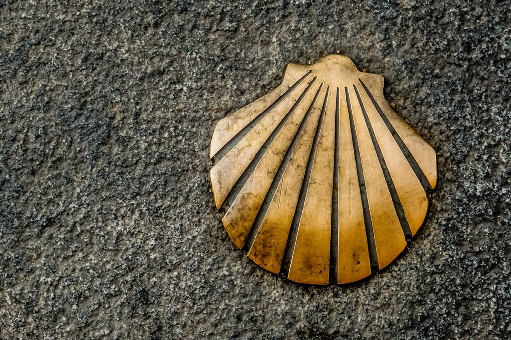 concha del peregrino, un símbolo del Camino de Santiago