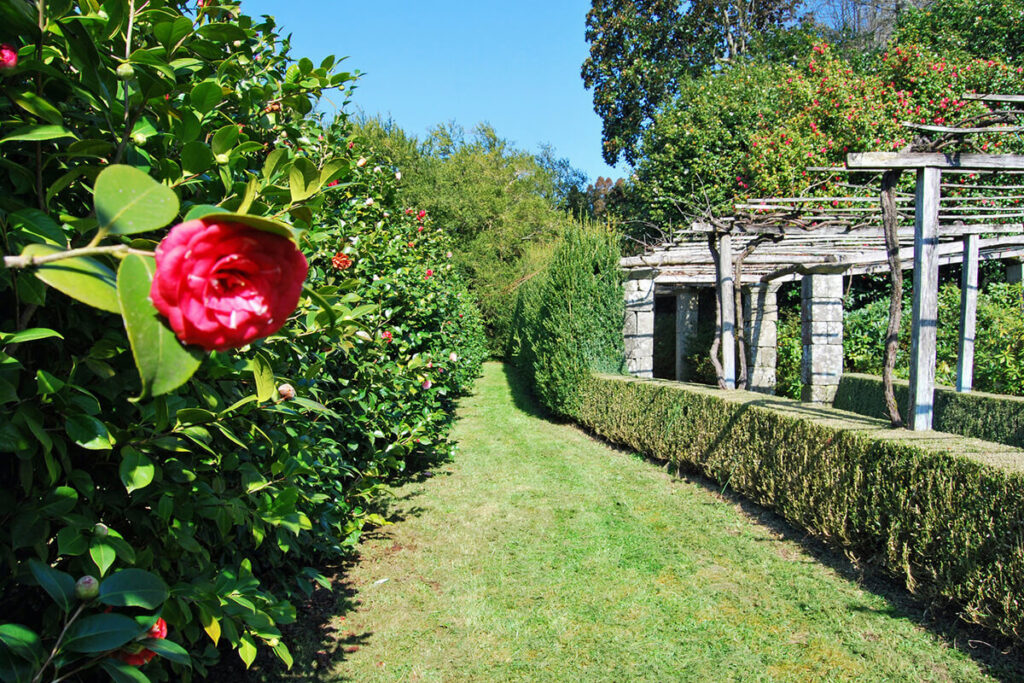 Ruta de la Camelia Pazo de Oca (A Estrada)