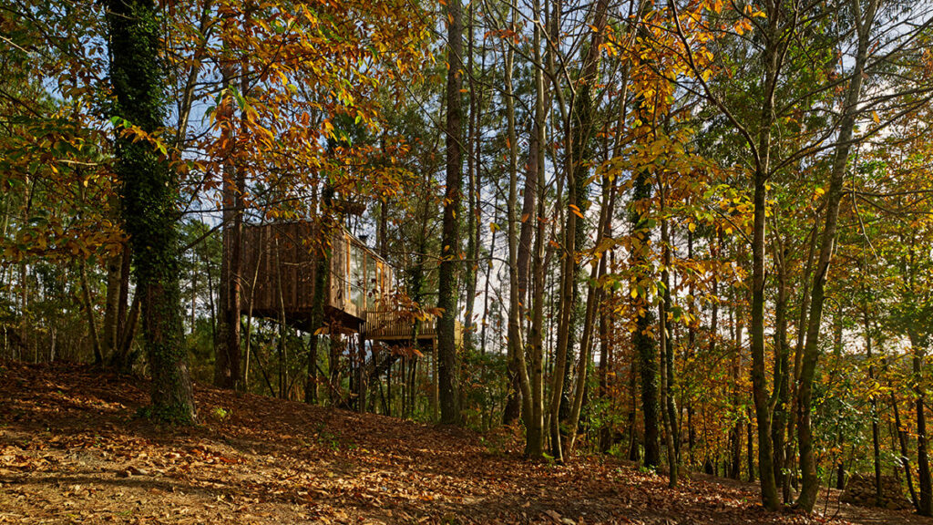 cabañas en los árboles Cabañitas del Bosque Outes