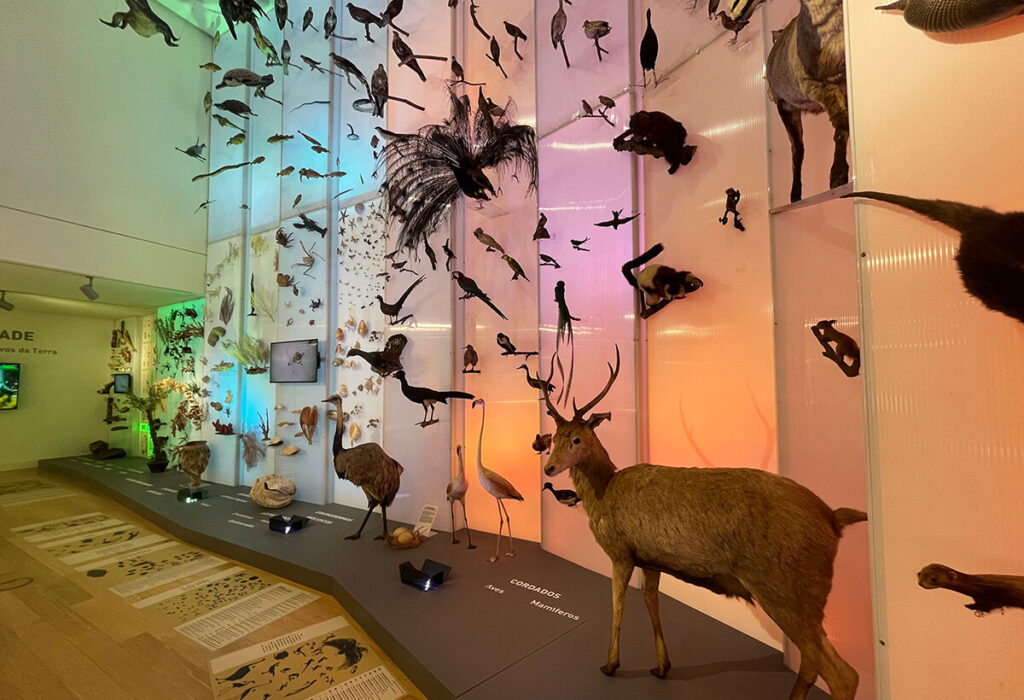 Museo de Historia Natural de la USC (Santiago de Compostela)