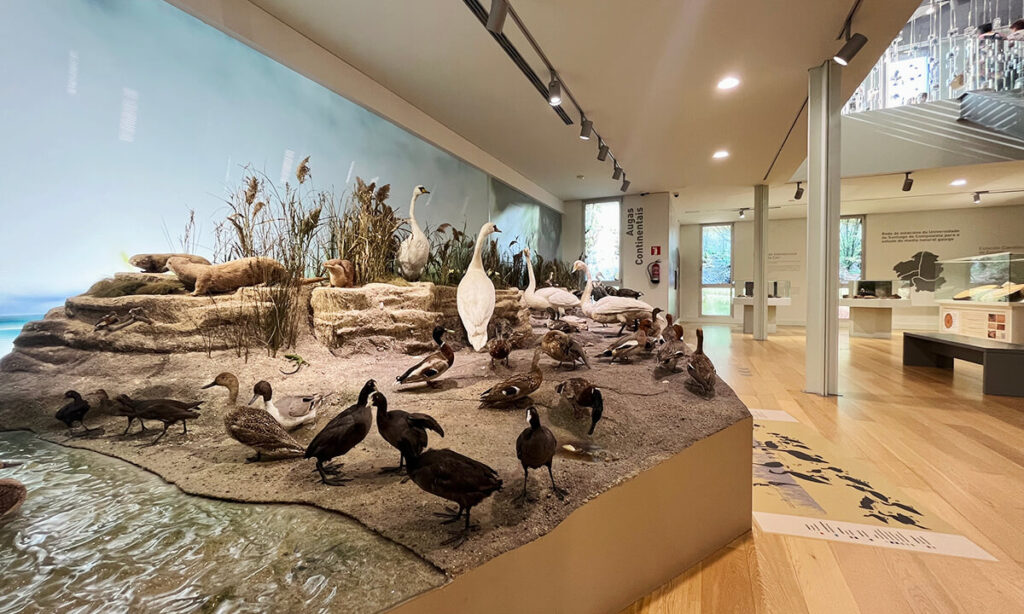 Museo de Historia Natural de la USC Santiago