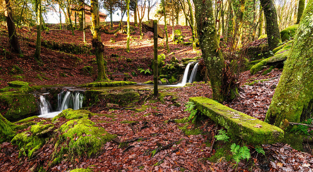 monte aloia en tui, cerca de Vigo