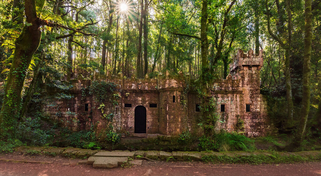 descubrir bosques mágicos es uno de los mejores planes con niños en Galicia