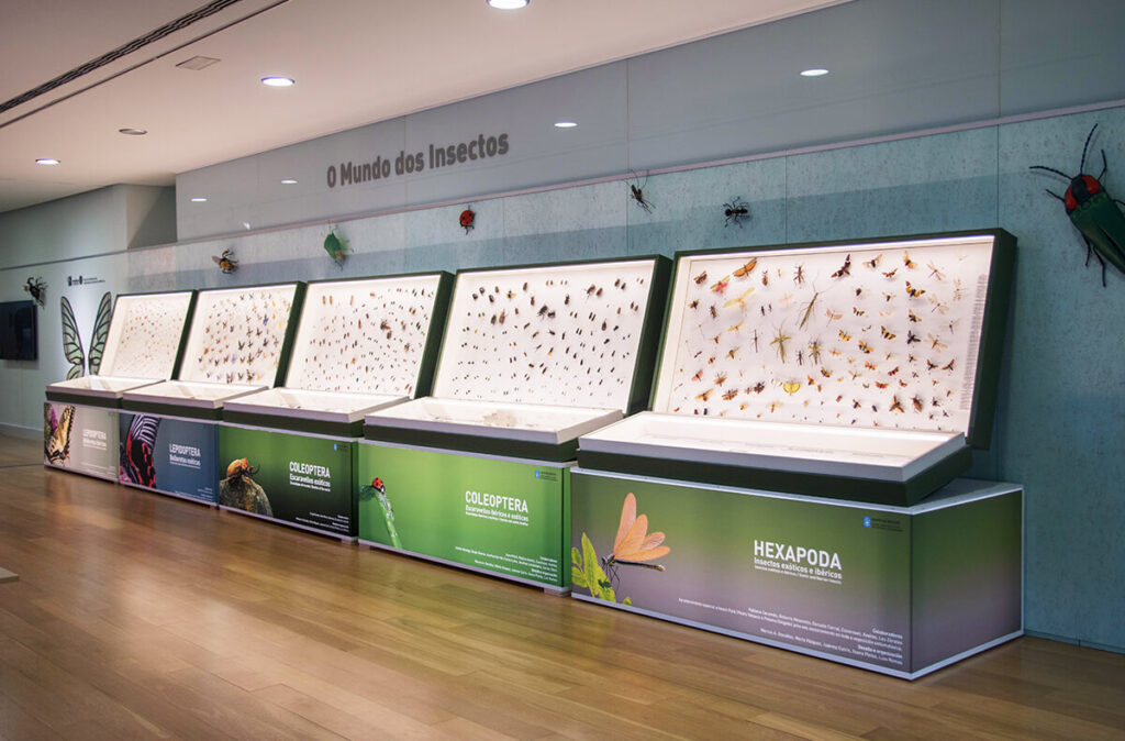 Museo de Historia Natural USC, uno de los mejores planes en Galicia con niños