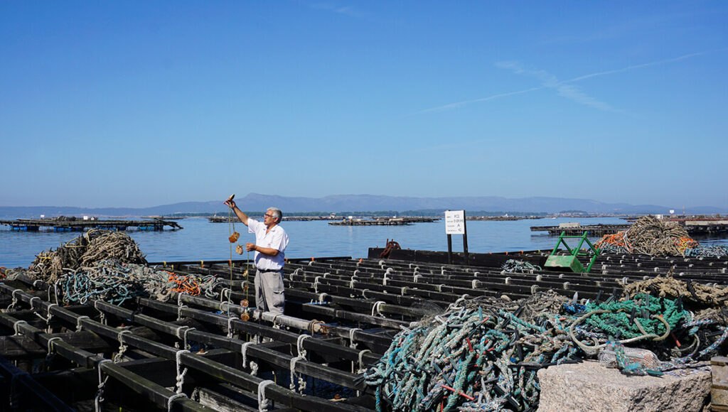 qué ver en Combarro, Barco de los Mejillones