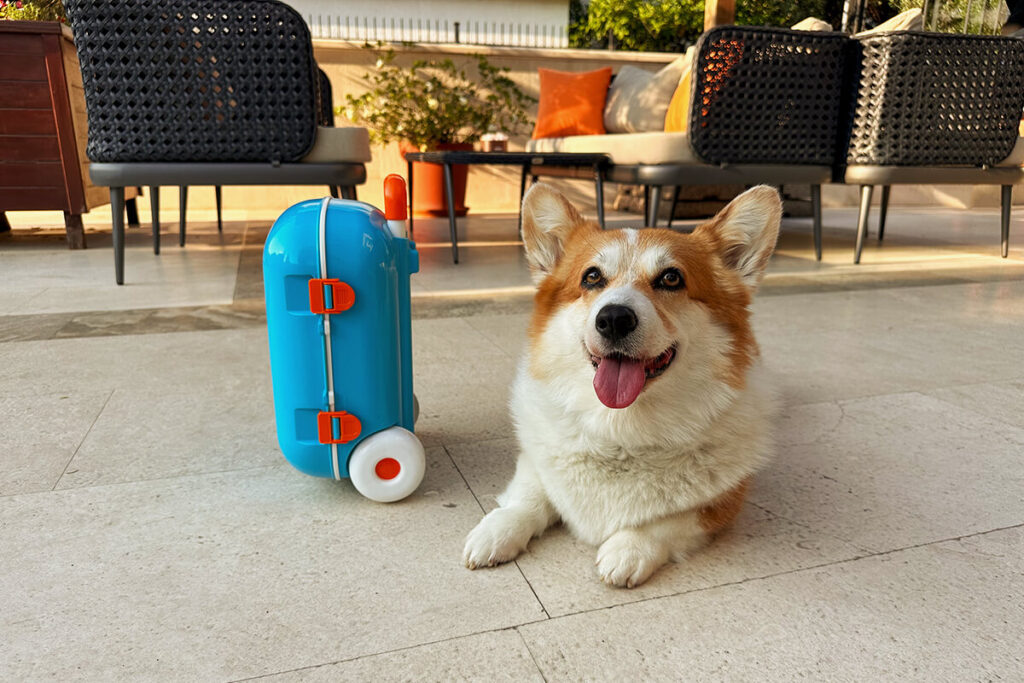 los mejores hoteles que admiten mascotas en Galicia