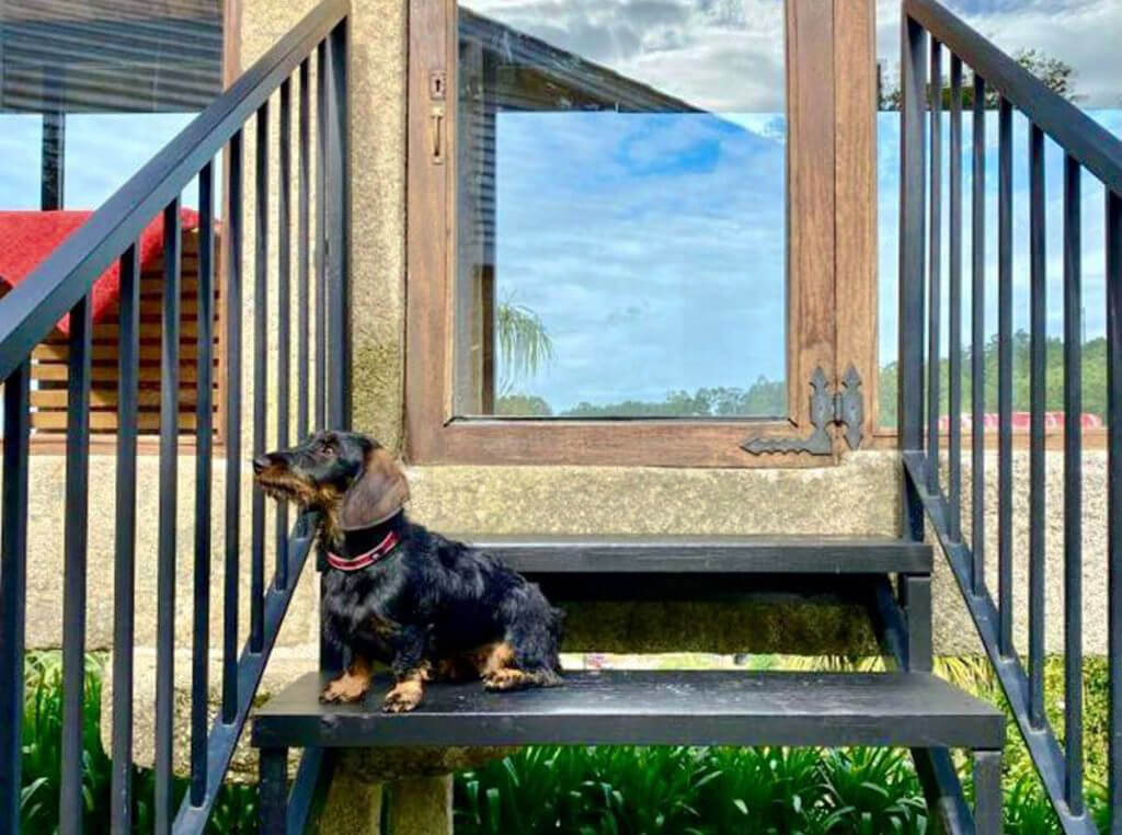 hoteles pet friendly en Galicia (Quinta de San amaro)