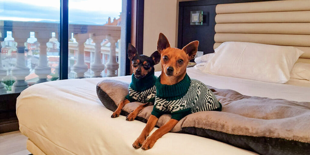 hoteles que admiten mascotas en Galicia (Hotel Bienestar Moaña)