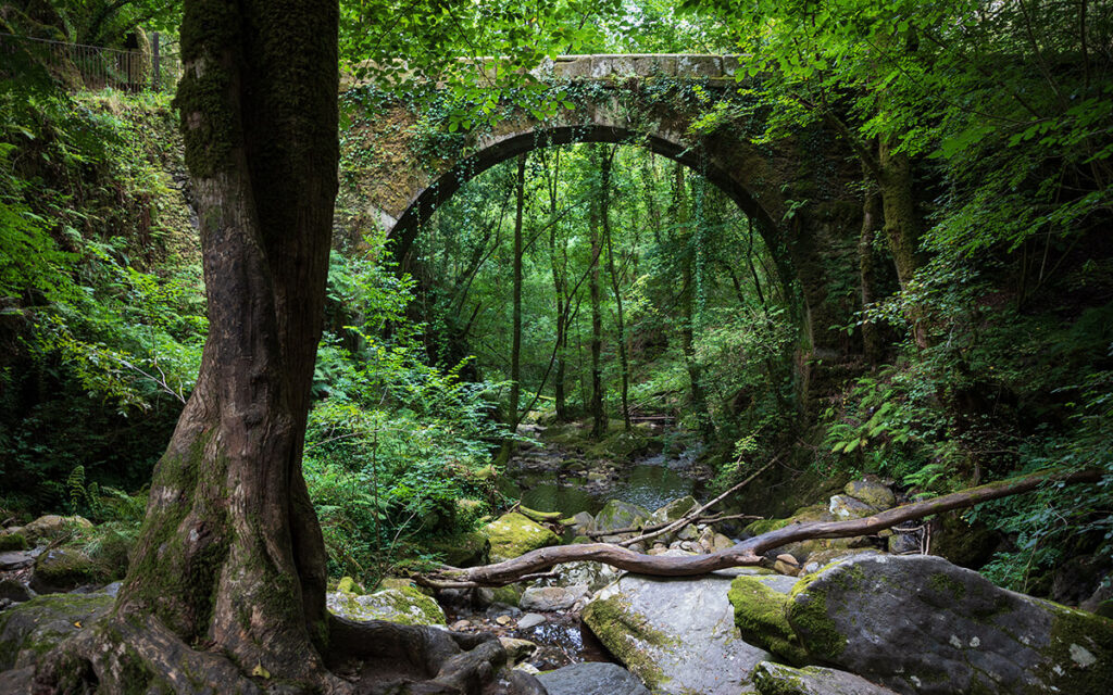 las Fragas do Eume, uno de los imprescindibles qué ver en Pontedeume