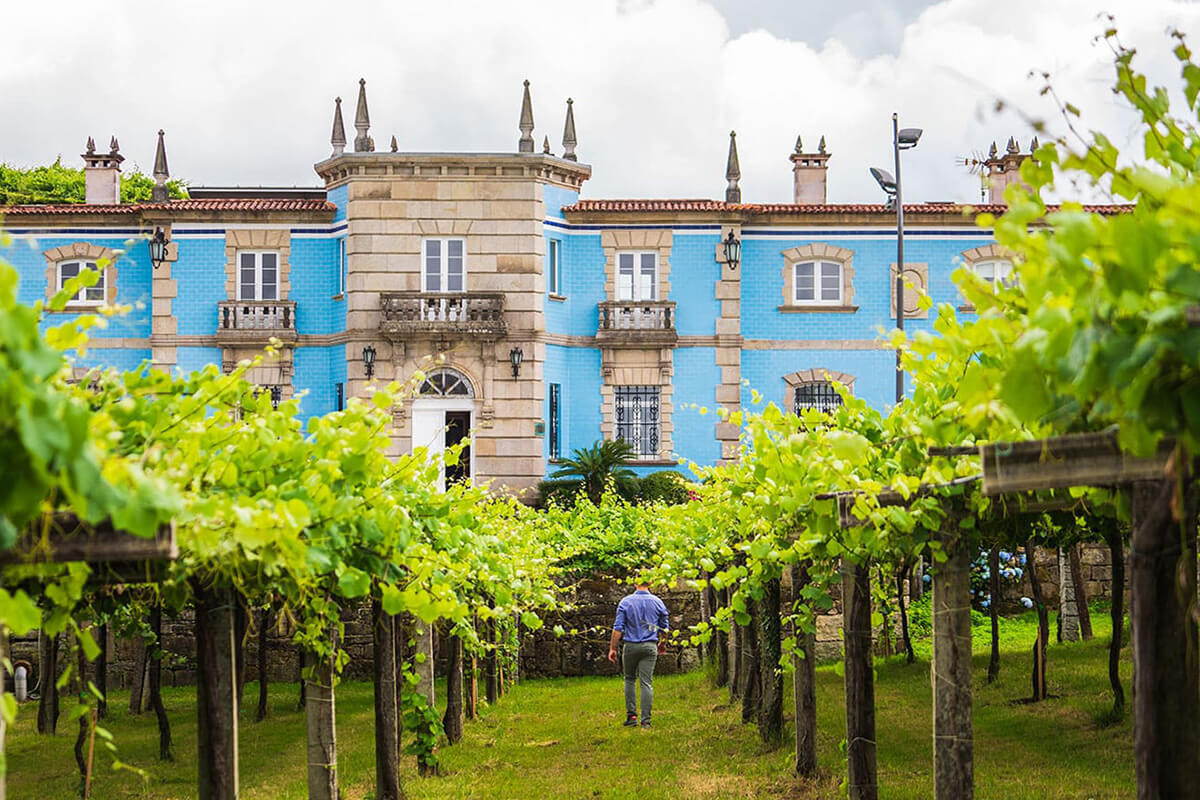mejores bodegas de las Rías Baixas para visitar y conocer la esencia del Albariño
