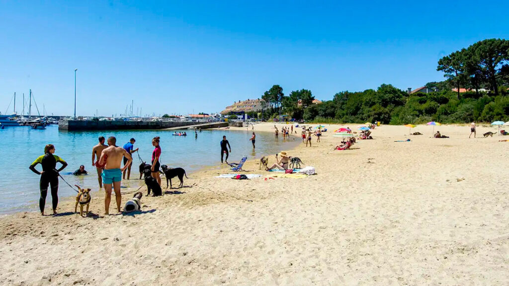 playa para perros de O Espiño en O Grove (Pontevedra)