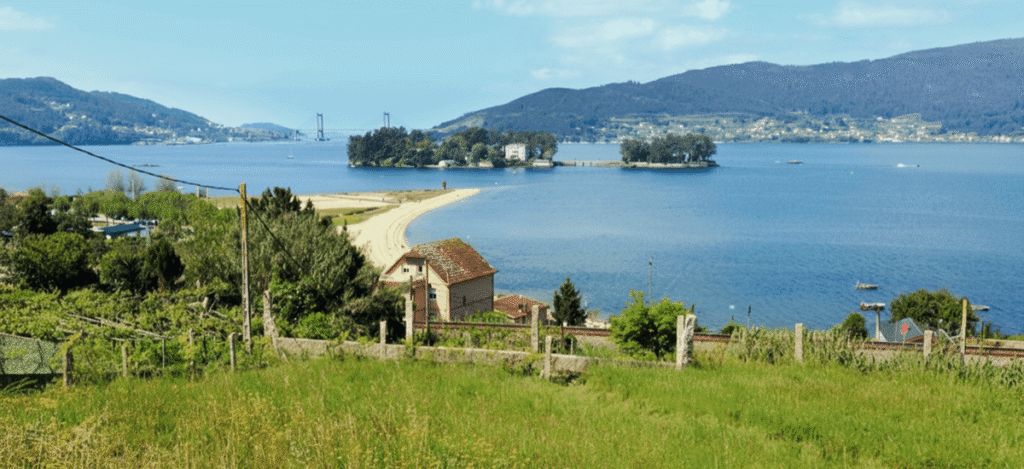 playas para perros en Galicia playa de Cesantes en Redondela
